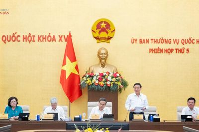 Ủy ban Thường vụ Quốc hội cho ý kiến về dự án Bộ luật Hình sự (sửa đổi)