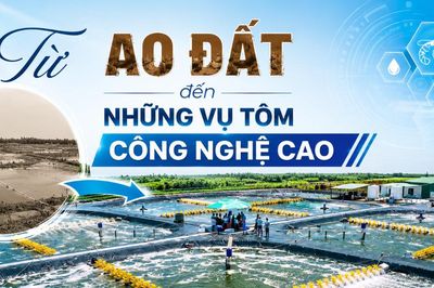 Từ ao đất đến những vụ tôm công nghệ cao