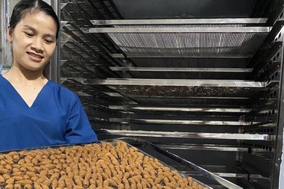 Nâng nhận thức sở hữu trí tuệ, HTX ở Đà Nẵng tạo lợi thế cạnh tranh