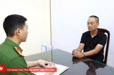 Bắt giữ đối tượng phá kính ô tô, trộm cắp hơn 700 triệu