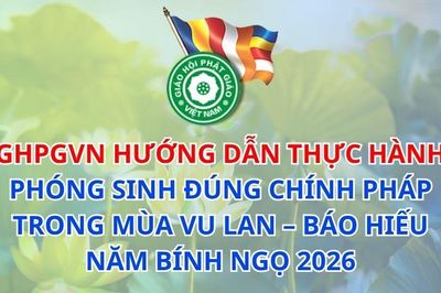 Hướng dẫn thực hành phóng sinh đúng Chính pháp trong mùa Vu Lan