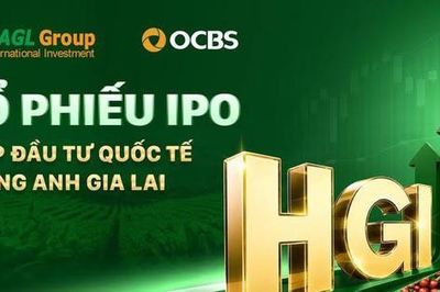 Đầu tư Quốc tế Hoàng Anh Gia Lai (HGI): Kế hoạch IPO huy động 1.140 tỷ đồng, lãi bán niên đạt gần 1.070 tỷ