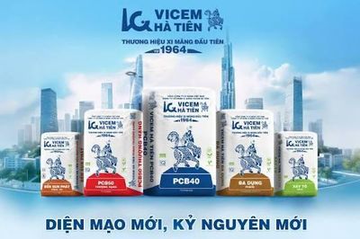 VICEM: Bổ nhiệm quyền Tổng giám đốc, lợi nhuận bán niên đạt 529 tỷ đồng