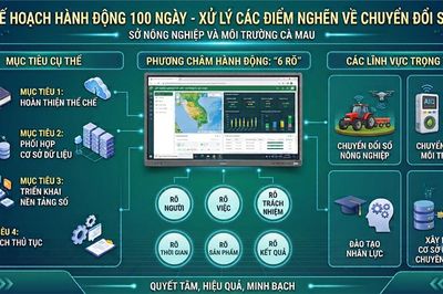 Thực hiện cao điểm 100 ngày xử lý điểm nghẽn chuyển đổi số