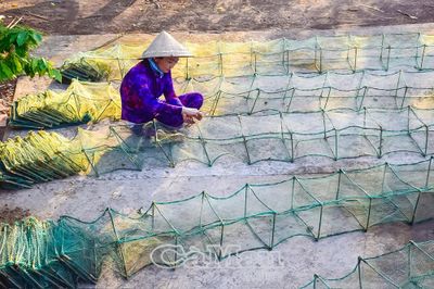 Kiên quyết xoá bỏ ngư cụ tận diệt nguồn lợi thuỷ sản