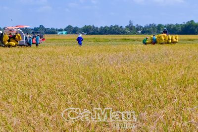 Phát huy thế mạnh kinh tế nông nghiệp
