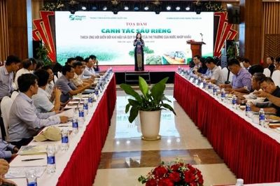 Sầu riêng Đắk Lắk trước yêu cầu thích ứng biến đổi khí hậu, kiểm soát an toàn thực phẩm
