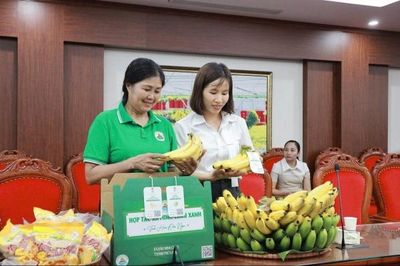 Hà Nội: Công nhận 13 sản phẩm OCOP đợt 1 năm 2026, thúc đẩy chế biến sâu và dược liệu cao cấp