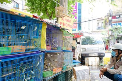 GHPG Việt Nam đề nghị không đặt hàng, thu gom động vật để phóng sinh mùa Vu Lan