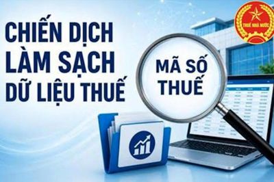 Chấn chỉnh nạn nhũng nhiễu, vòi vĩnh trong xử lý làm sạch mã số thuế