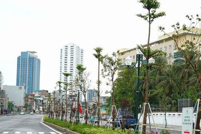 Đề xuất phương án lưu thông trên đường Vành đai 1, đoạn Hoàng Cầu - Voi Phục