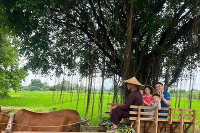 Độc đáo trải nghiệm xe bò khám phá làng cổ Đường Lâm