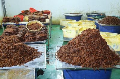 Phá đường dây sản xuất, buôn bán thịt bò khô giả quy mô lớn