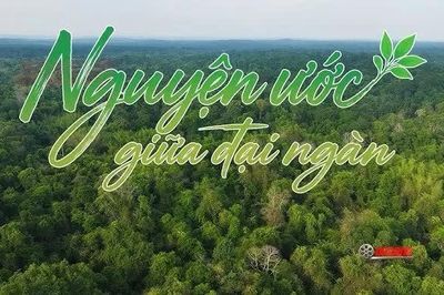 'Nguyện ước giữa đại ngàn' kể câu chuyện người lính giữ rừng Mã Đà