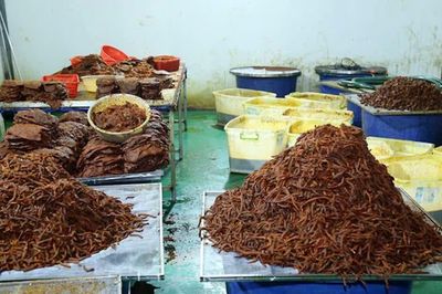 Đồng Nai: Triệt phá đường dây sản xuất khô bò giả quy mô lớn