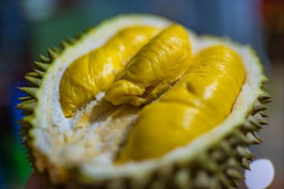 Thái Lan gặp khó, Campuchia đua xuất khẩu sầu riêng sang Trung Quốc