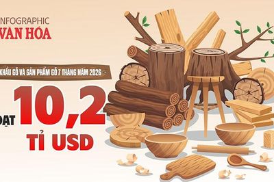 Xuất khẩu gỗ và sản phẩm gỗ đạt 10,2 tỉ USD sau 7 tháng