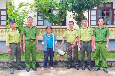 Người dân Mường Chà tự nguyện giao nộp cá thể gà lôi trắng quý hiếm