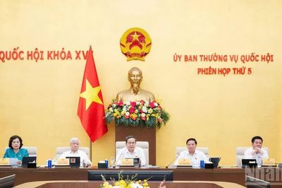 Đề cao tính hướng thiện, nhân đạo trong xử lý người phạm tội
