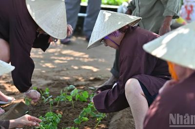 Phát triển du lịch nông thôn gắn với sản phẩm OCOP