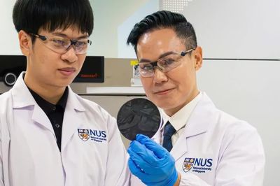 Hai nhà khoa học gốc Việt tại NUS công bố nghiên cứu mới tái sử dụng phế liệu composite từ máy bay