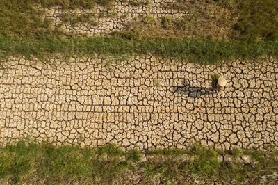 [Video] El Nino mạnh, bão ít hơn trung bình nhiều năm trong những tháng cuối năm