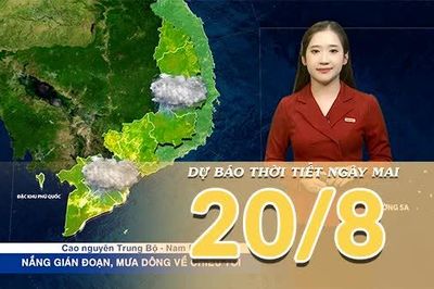 [Video] Dự báo thời tiết đêm nay và ngày mai 20/8/2026: Áp thấp nhiệt đới có thể mạnh thêm, Bắc Bộ và Bắc Trung Bộ mưa lớn