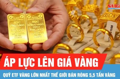 Ngày 19-8, giá vàng trong nước giảm 1,6 triệu đồng/lượng