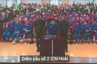Ca sĩ Chi Dân và người mẫu An Tây có vai trò gì trong Chuyên án VN10?