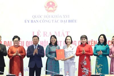 Ra mắt Nhóm đại biểu Quốc hội hoạt động chuyên trách ở địa phương