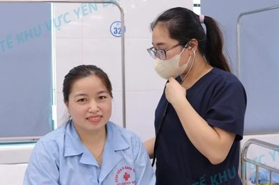 Hơn 50 mũi ong vò vẽ đốt, người bệnh tổn thương gan và cơ