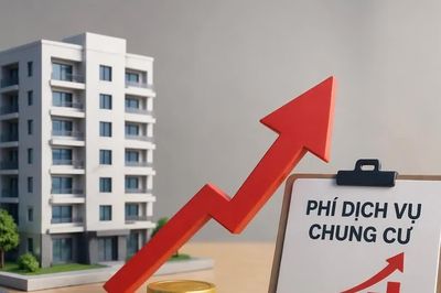 [VIDEO] Loạn phí quản lý chung cư khi cư dân đối đầu ban quản trị