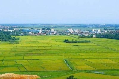 Thẩm quyền thực hiện quản lý nhà nước về đất đai theo dự thảo Luật Đất đai 2026
