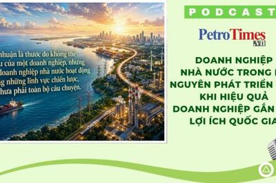 [PODCAST] Doanh nghiệp nhà nước và bài toán 'nhiệm vụ kép'