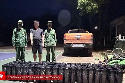 Phát hiện 80 bình khí cười vận chuyển trên xe bán tải