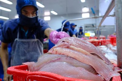 Cá tra tỷ USD của Việt Nam gặp khó tại Mỹ, tăng tốc ở thị trường Trung Quốc