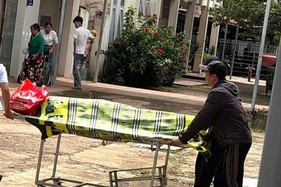 Người đàn ông tử vong khi trèo cây cắt sầu riêng thuê