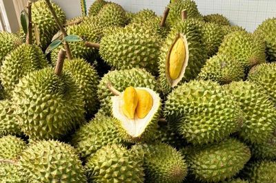 1 tỷ người Trung Quốc chưa ăn sầu riêng, có 'hộ chiếu' chưa chắc bán giá cao