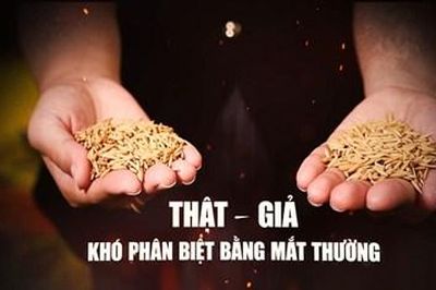 Thông báo thay đổi lịch phát sóng chương trình 'Hồ sơ Công tố - Kiểm sát'