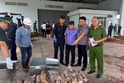 Kiểm sát vụ vận chuyển gần 1,2 tấn ngà voi ở Gia Lai