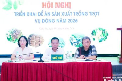 Nghệ An: Lấy thị trường làm trung tâm trong sản xuất vụ Đông 2026
