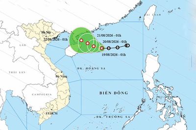 Thời tiết ngày 19/8: Áp thấp nhiệt đới gây biển động, Bắc Bộ và Bắc Trung Bộ mưa lớn