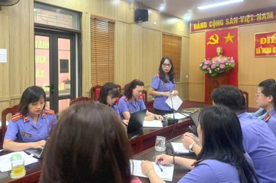 Viện kiểm sát ban hành 14 quyết định khởi kiện về đất đai tại một xã ở Hà Nội
