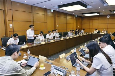 Tháo gỡ tồn tại nhưng không hợp thức hóa sai phạm về đất đai