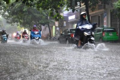 Dự báo thời tiết 19/8/2026: Miền Bắc đón đợt mưa to như trút nước, cảnh báo thời tiết nguy hiểm
