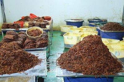 Biến 130 tấn thịt trâu Ấn Độ thành 65 tấn 'khô bò', thu khoảng 21 tỷ đồng
