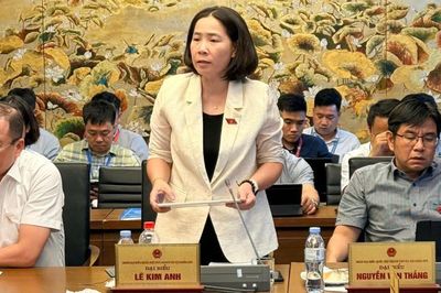 Tích hợp đầu mối, không tích hợp cơ học quyền lợi nhóm yếu thế