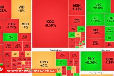 Chứng khoán phiên sáng 19/8: VN-Index giảm 7,89 điểm