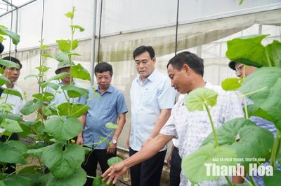 Giám sát tích tụ, tập trung đất đai trong sản xuất nông nghiệp tại xã Thiệu Hóa
