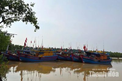 Sẵn sàng tiếp nhận tàu thuyền vào âu neo đậu tránh trú bão